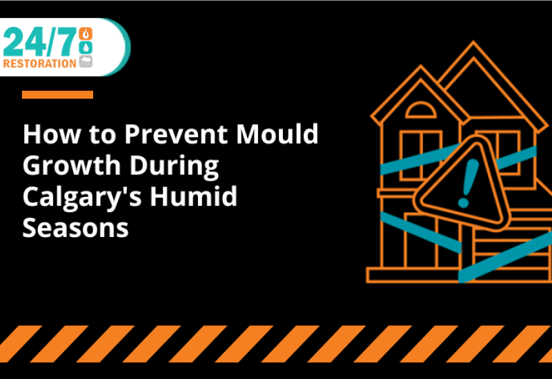 How to Prevent Mould Growth During Calgary's Humid Seasons 