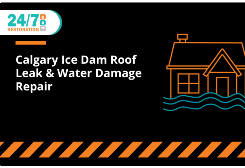 Calgary Ice Dam Roof Leak & Water Damage Repair