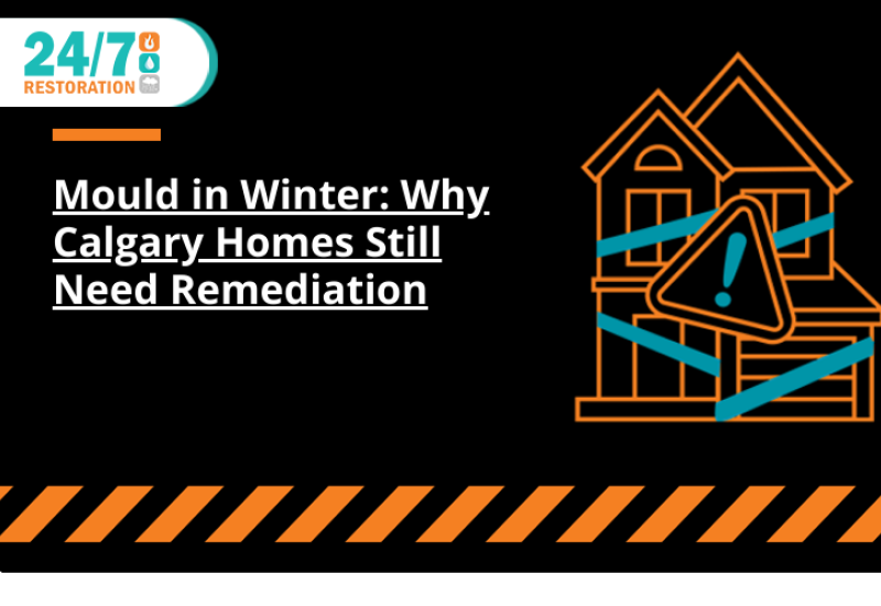 Mould in Winter: Why Calgary Homes Still Need Remediation