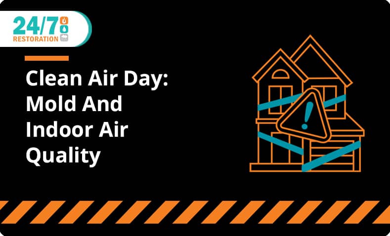 Clean Air Day: Mold And Indoor Air Quality
