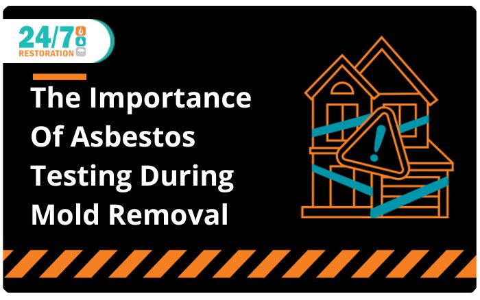 The Importance Of Asbestos Testing During Mold Removal