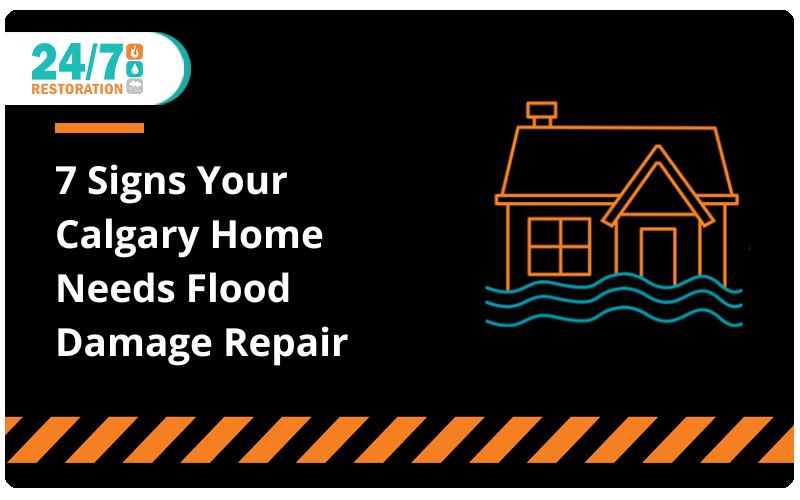 Calgary Flood Damage: 7 Signs Your Calgary Home Needs Flood Damage Repair