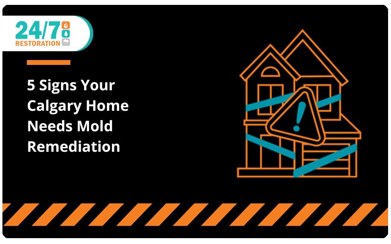 5 Signs Your Calgary Home Needs Mold Remediation 