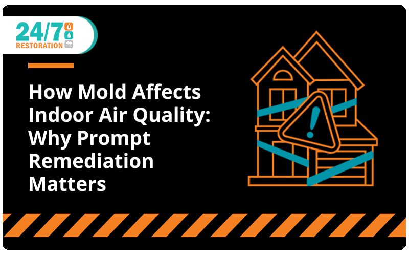 How Mold Affects Indoor Air Quality: Why Prompt Remediation Matters