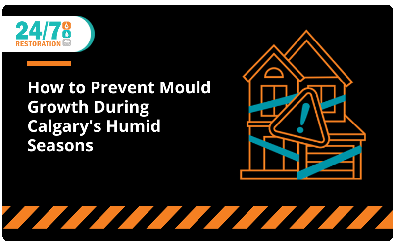 How to Prevent Mould Growth During Calgary's Humid Seasons 