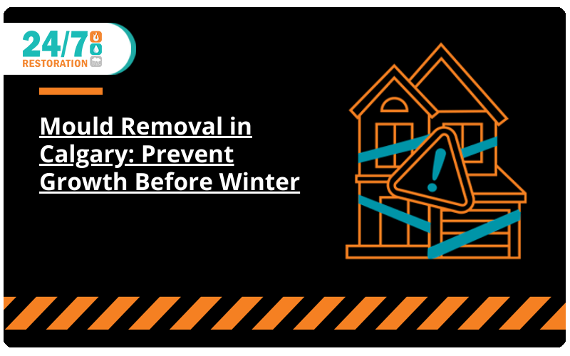 Mould Removal in Calgary: Prevent Growth Before Winter