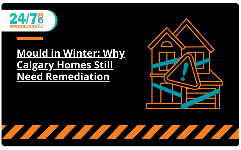 Mould in Winter: Why Calgary Homes Still Need Remediation