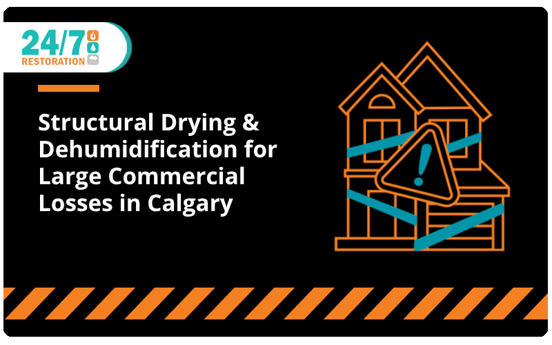 Structural Drying & Dehumidification for Large Commercial Losses in Calgary